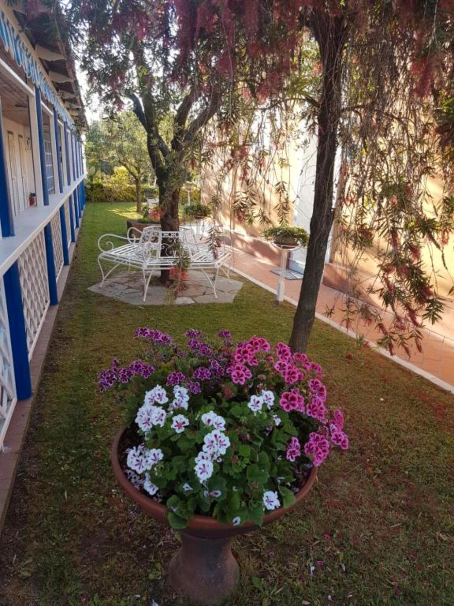 Bed And Breakfast Bagno Venezia Marina Di Carrara Extérieur photo